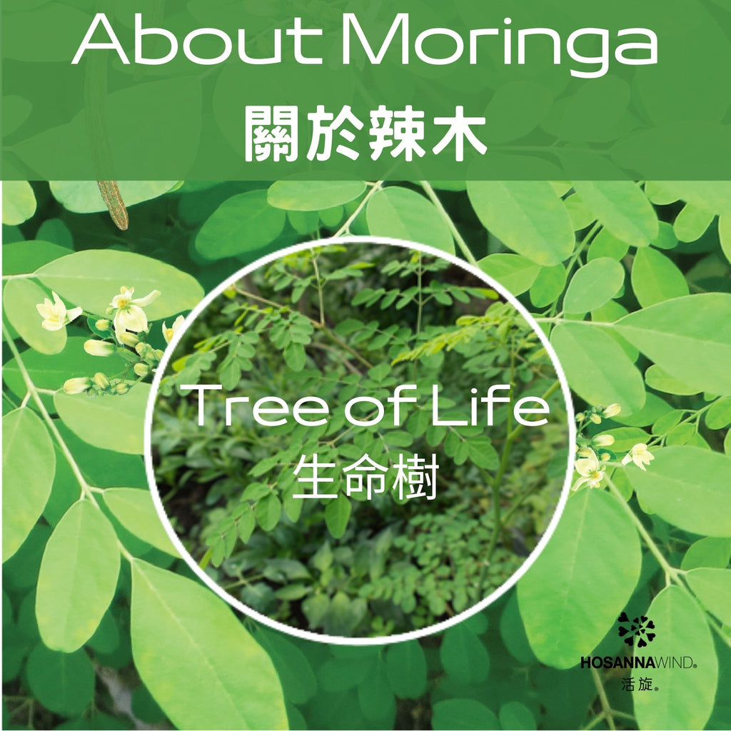 Moringa Nutrition