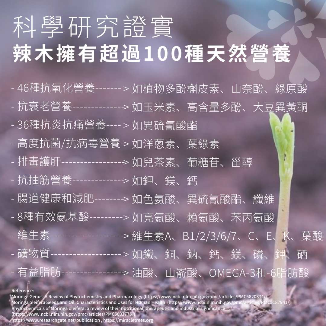 活旋辣木濕疹護理體驗套裝