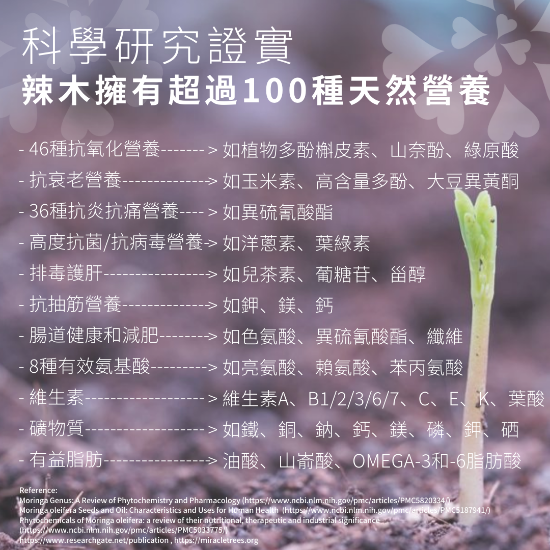 活旋辣木濕疹護理油