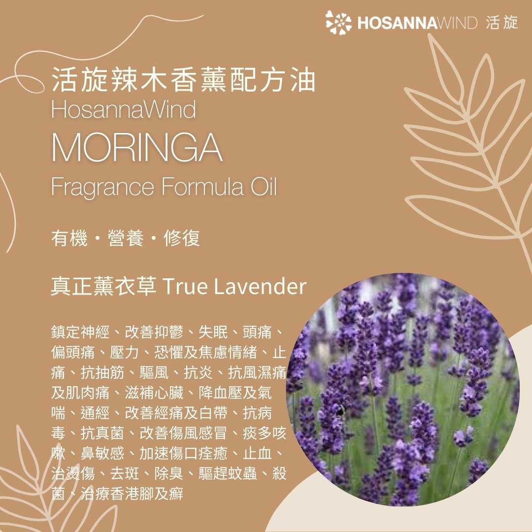 HOSANNAWIND ECZEMA TREATMENT OIL