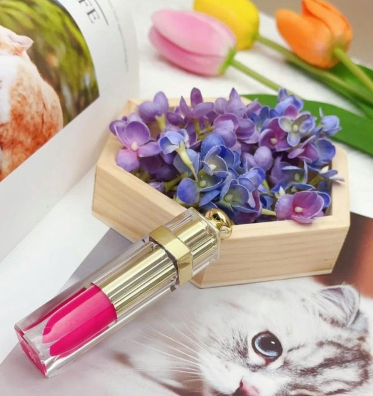 HOSANNAWIND MORINGA MOISTURISING LIP GLOSS