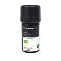 HOSANNAWIND ORGANIC CYPRESS ESSENTIAL OIL