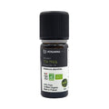 HOSANNAWIND ORGANIC TEA TREE ESSENTIAL OIL