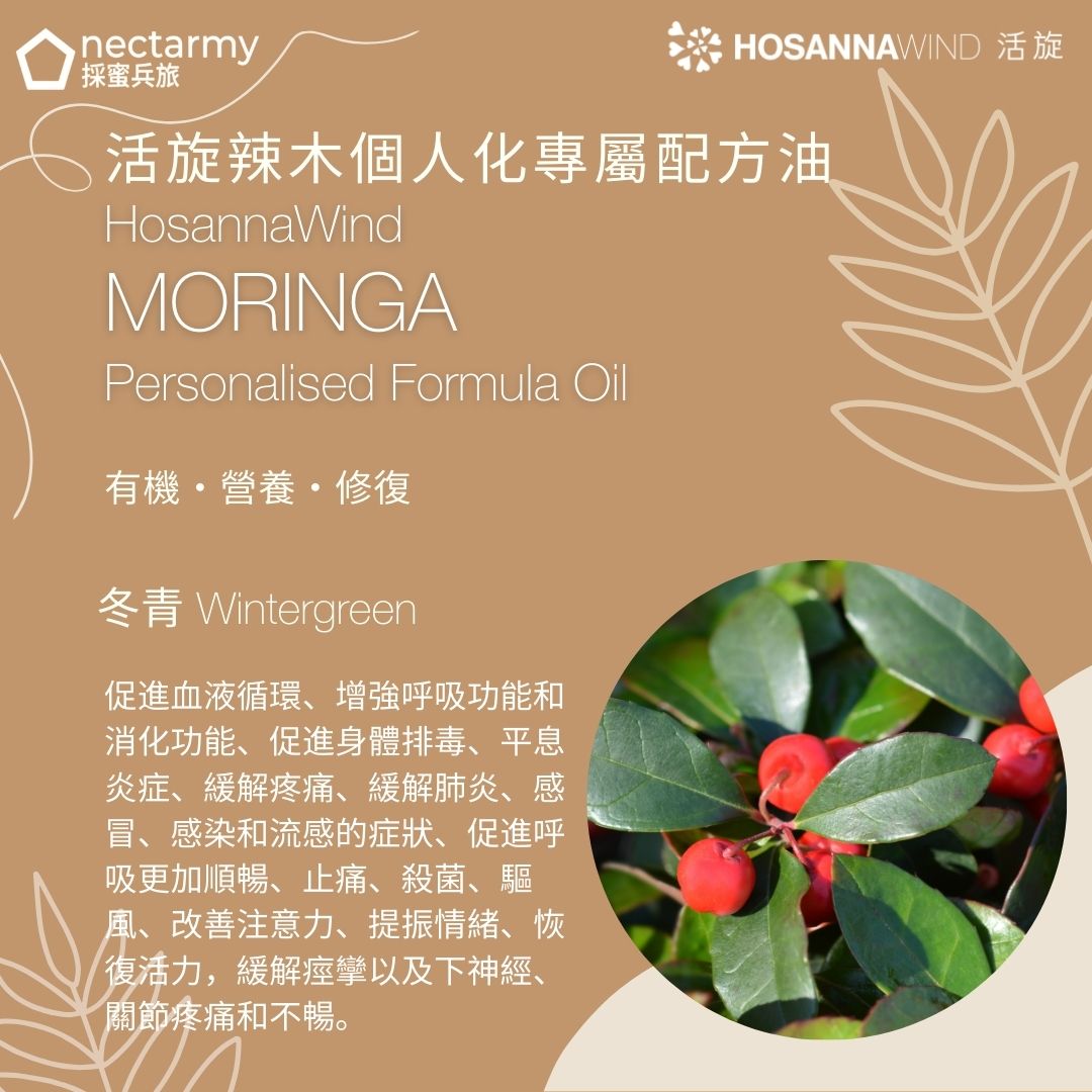 活旋辣木特效舒痛油