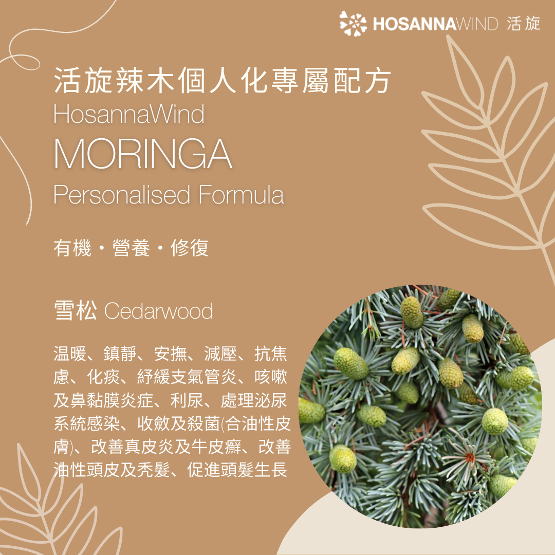 活旋辣木個人化專屬配方油