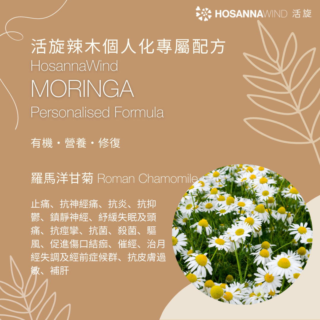 活旋辣木個人化專屬配方油